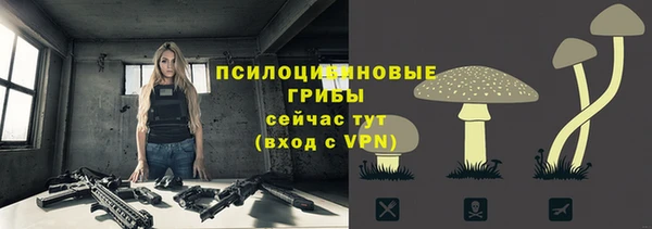винт Нея