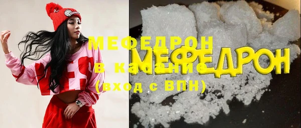 сатива Новозыбков