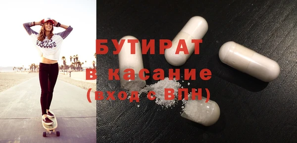 сатива Новозыбков