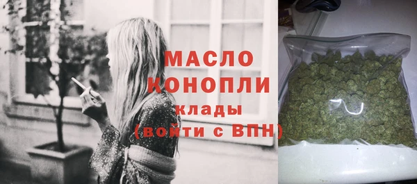 сатива Новозыбков
