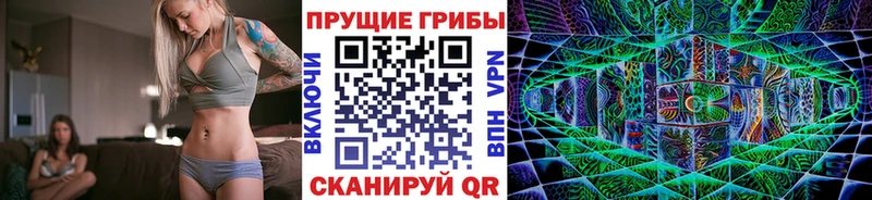 Купить  Билибино  Галлюциногенные грибы MAGIC MUSHROOMS 